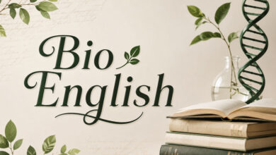 بیو انگلیسی خاص، غمگین، انگیزشی و عاشقانه با فونت خاص