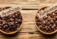برای اسپرسوساز خانگی چه قهوه‌ای بخریم؟