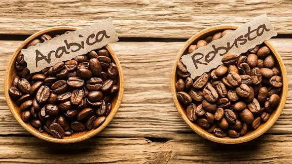 برای اسپرسوساز خانگی چه قهوهای بخریم؟